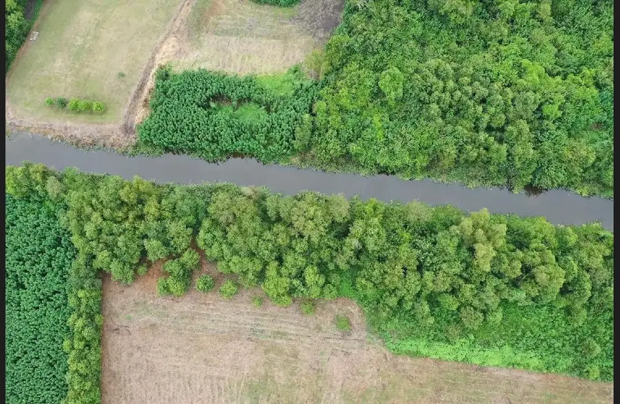 TBD Bayou Folse Road, Raceland, LA 70394 - #3