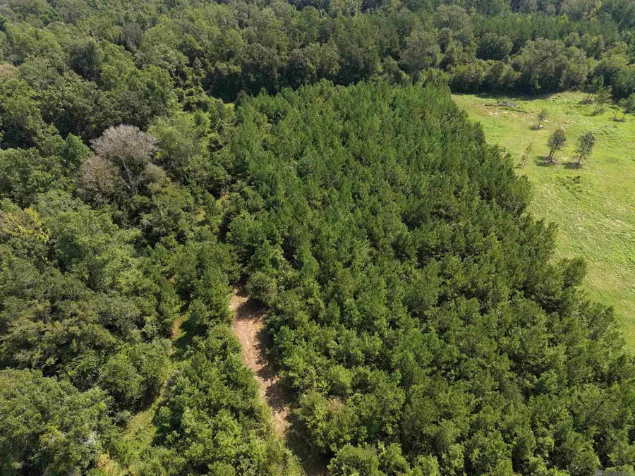 8470 La Hwy 449, Greensburg, LA 70441 - #3