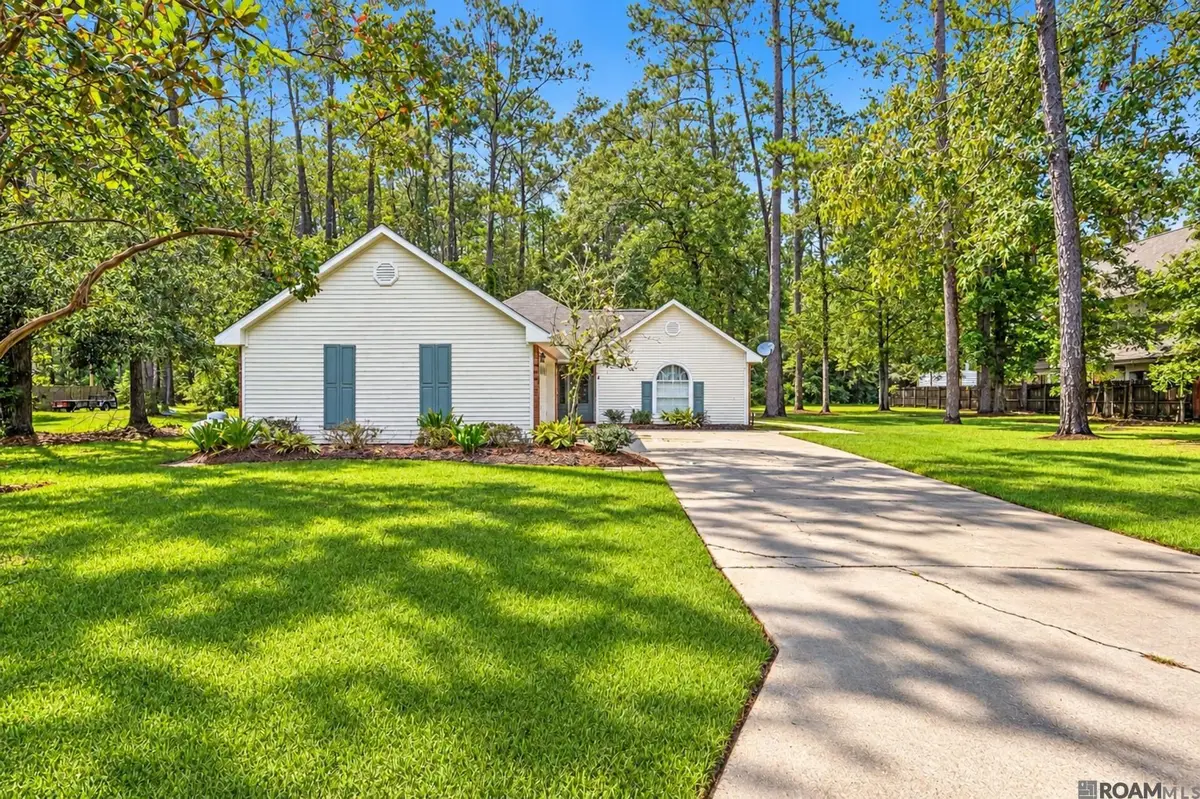 31535 River Pines Dr, Springfield, LA 70462 - #1
