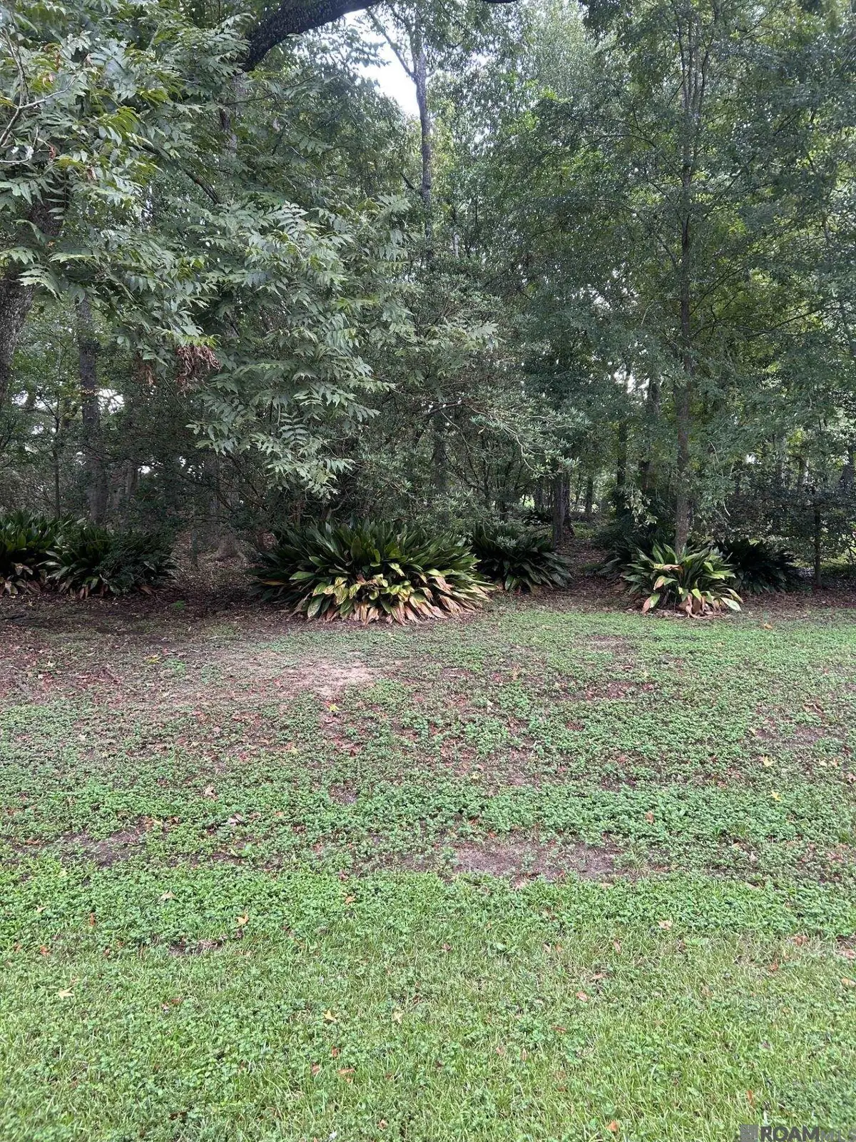 8013 Oakbrook Dr, Oak Hills Place, LA 70817 - #1