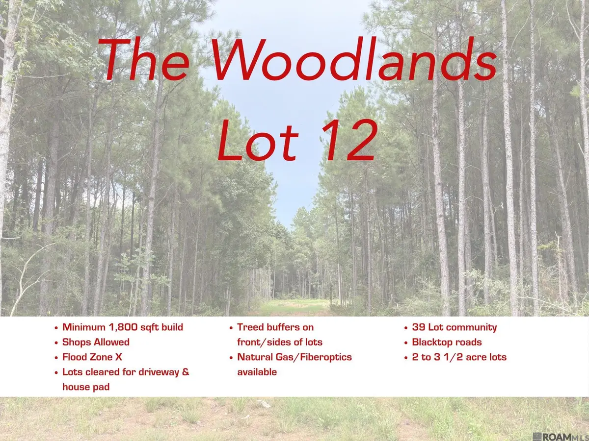 18993 Honey Grove, Livingston, LA 70754 - #1
