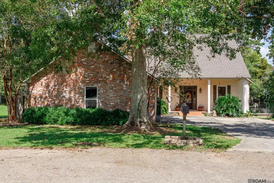 31792 River Pines Dr, Springfield, LA 70462 - #2