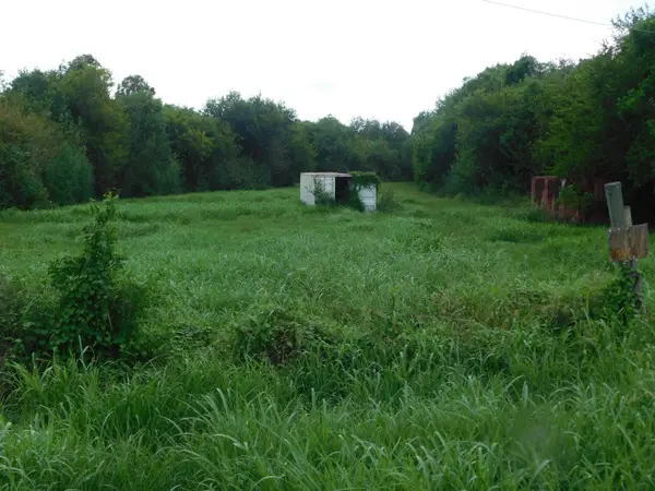 17614 Highway 3235, Galliano, LA 70354