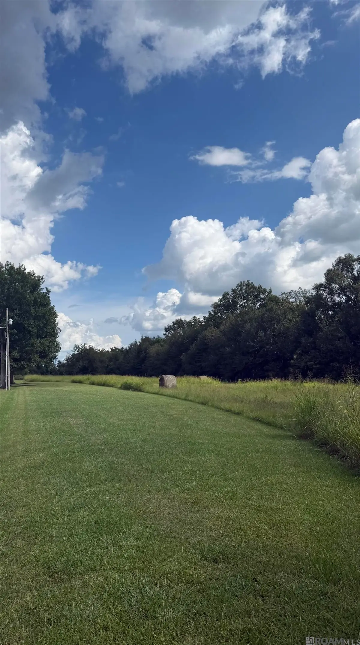 TBD Bigman Ln, Torbert, LA 70762 - #1