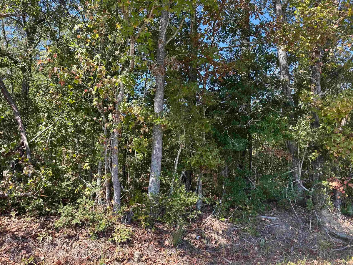 18943 Austin St, Springfield, LA 70462 - #1