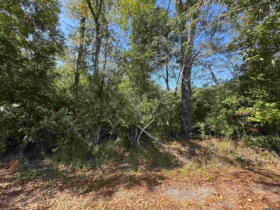 18943 Austin St, Springfield, LA 70462 - #3
