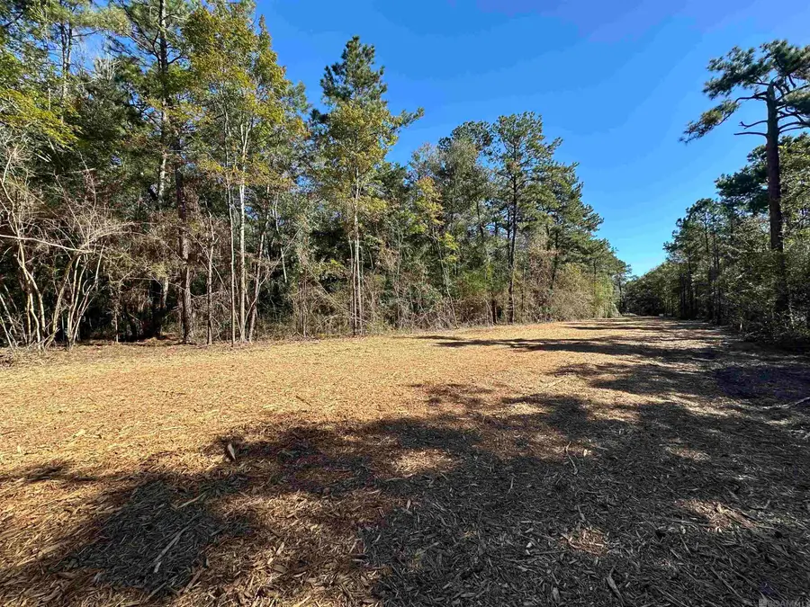 5.5 Acres Heritage Acres Ln, Robert, LA 70455 - #3