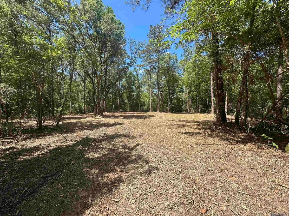 5.64 Acres Heritage Acres Ln, Robert, LA 70455 - #1