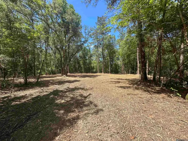 5.64 Acres Heritage Acres Ln, Robert, LA 70455