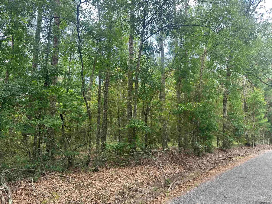 5.22 Acres Heritage Acres Ln, Robert, LA 70455 - #3
