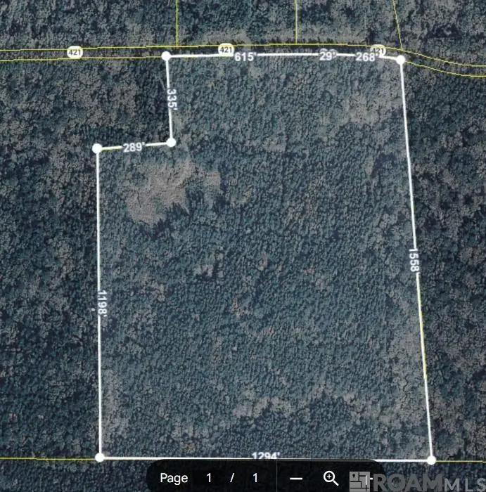 11619 La Hwy 421, Saint Francisville, LA 70775 - #1