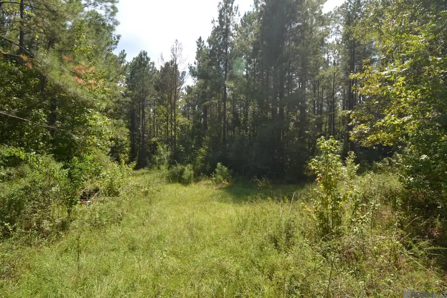 11619 La Hwy 421, Saint Francisville, LA 70775 - #2