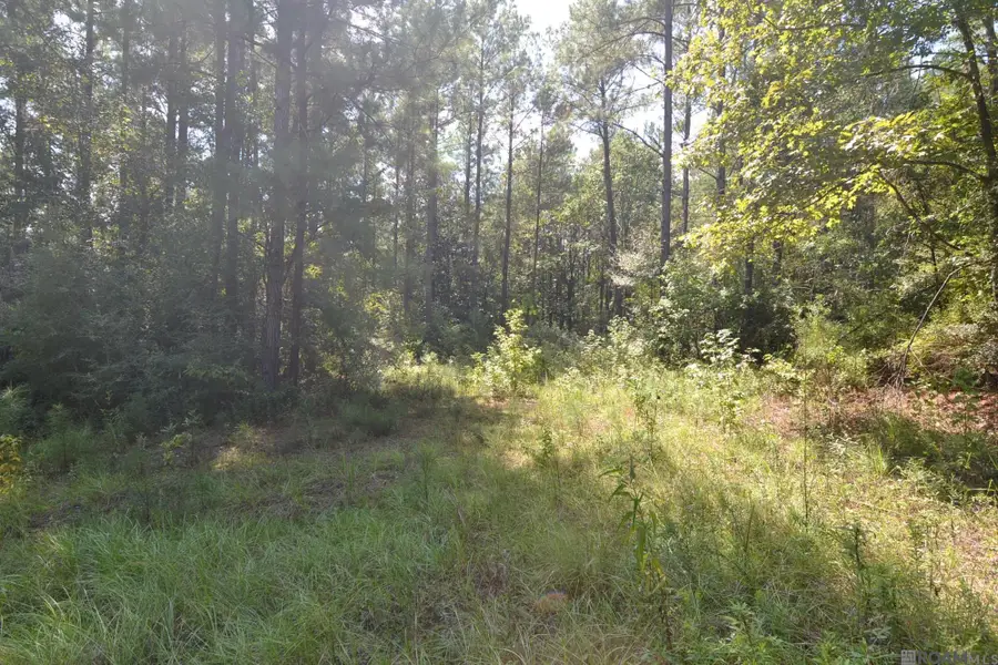 11619 La Hwy 421, Saint Francisville, LA 70775 - #3
