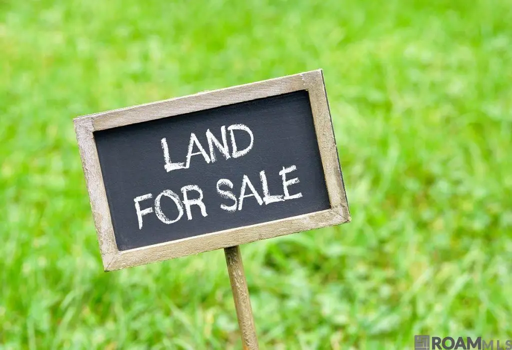 Lot 2-A-20 Perrilloux Rd, Livingston, LA 70754 - #1