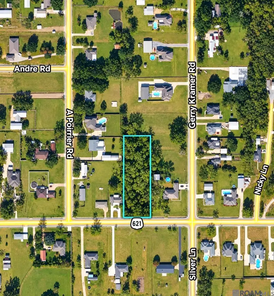 42436 La Hwy 621, Gonzales, LA 70737 - #2