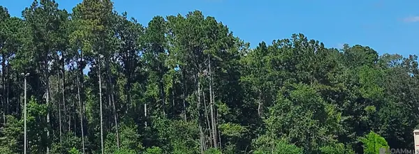 37330 Reinninger Rd, Denham Springs, LA 70706
