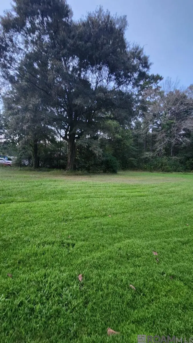 35238 Curtis Dr, Denham Springs, LA 70706 - #3