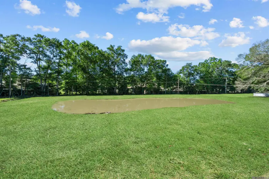 31872 Netterville Rd, Denham Springs, LA 70726 - #3