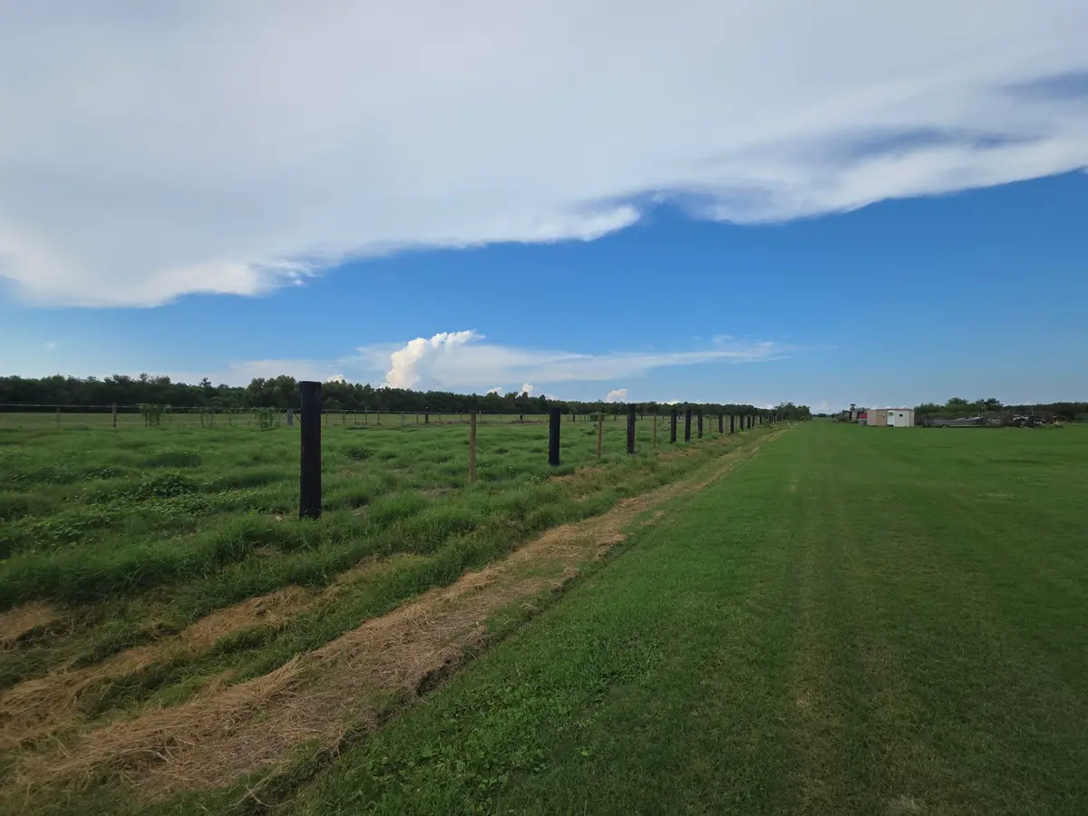 TBD Highway 3235 West, Cut Off, LA 70345 - #1