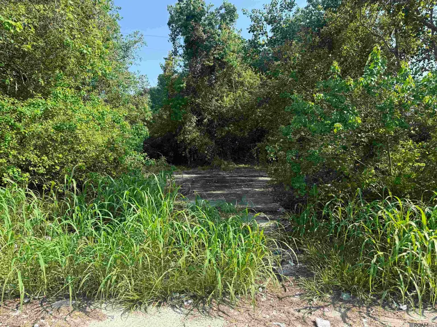 8261 Ned Ave, Baton Rouge, LA 70820 - #2