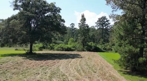 14422 Lockhart Ln, Walker, LA 70785