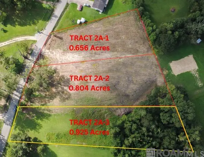 Tract 2A-3 Muddy Creek Rd, Prairieville, LA 70769 - #1