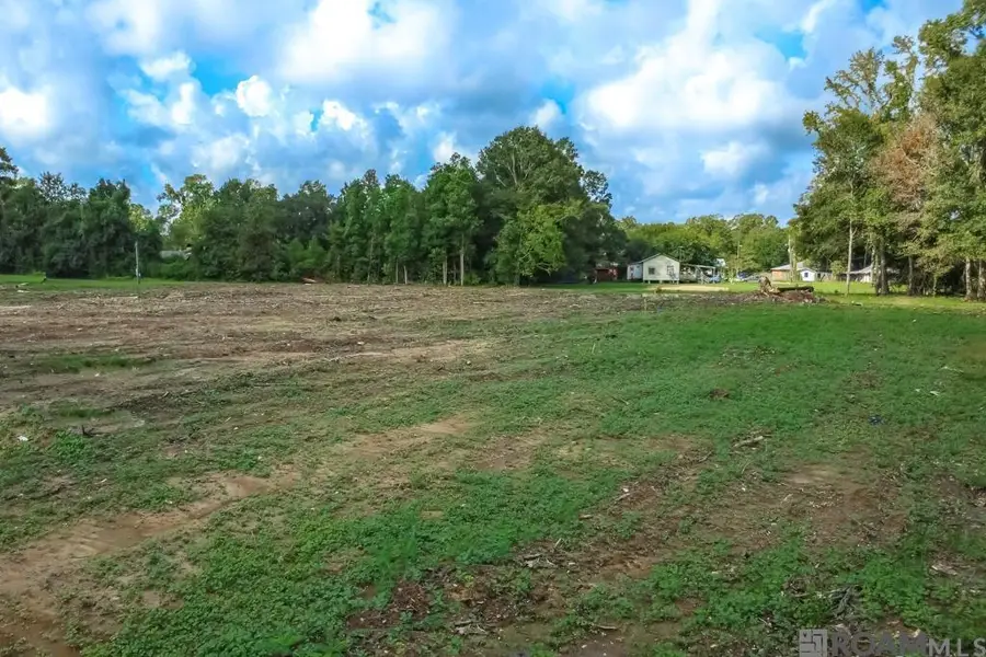 Tract 2A-1 Muddy Creek Rd, Prairieville, LA 70769 - #3
