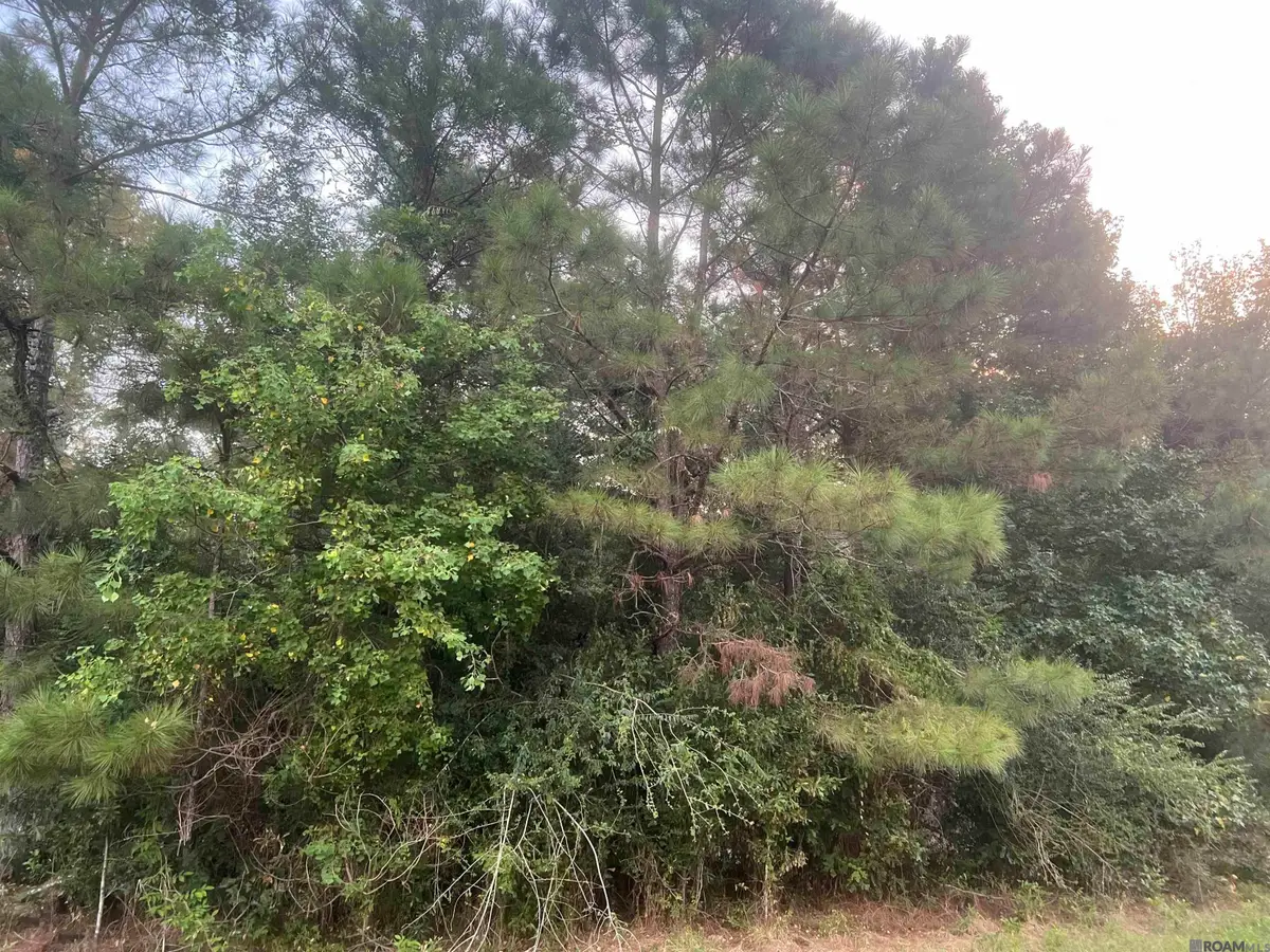 LOT 6-A-4 Hwy 10, Clinton, LA 70722 - #1