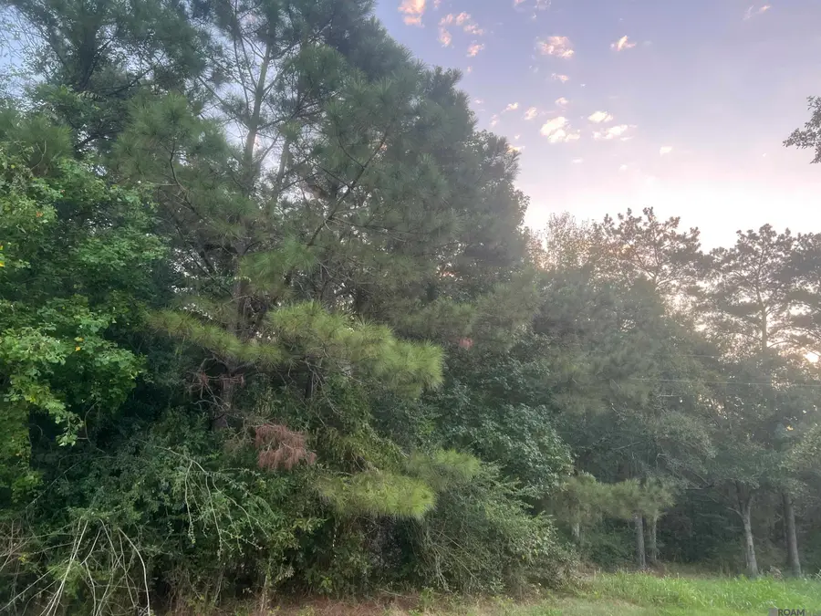 LOT 6-A-7 Hwy 10, Clinton, LA 70722 - #2