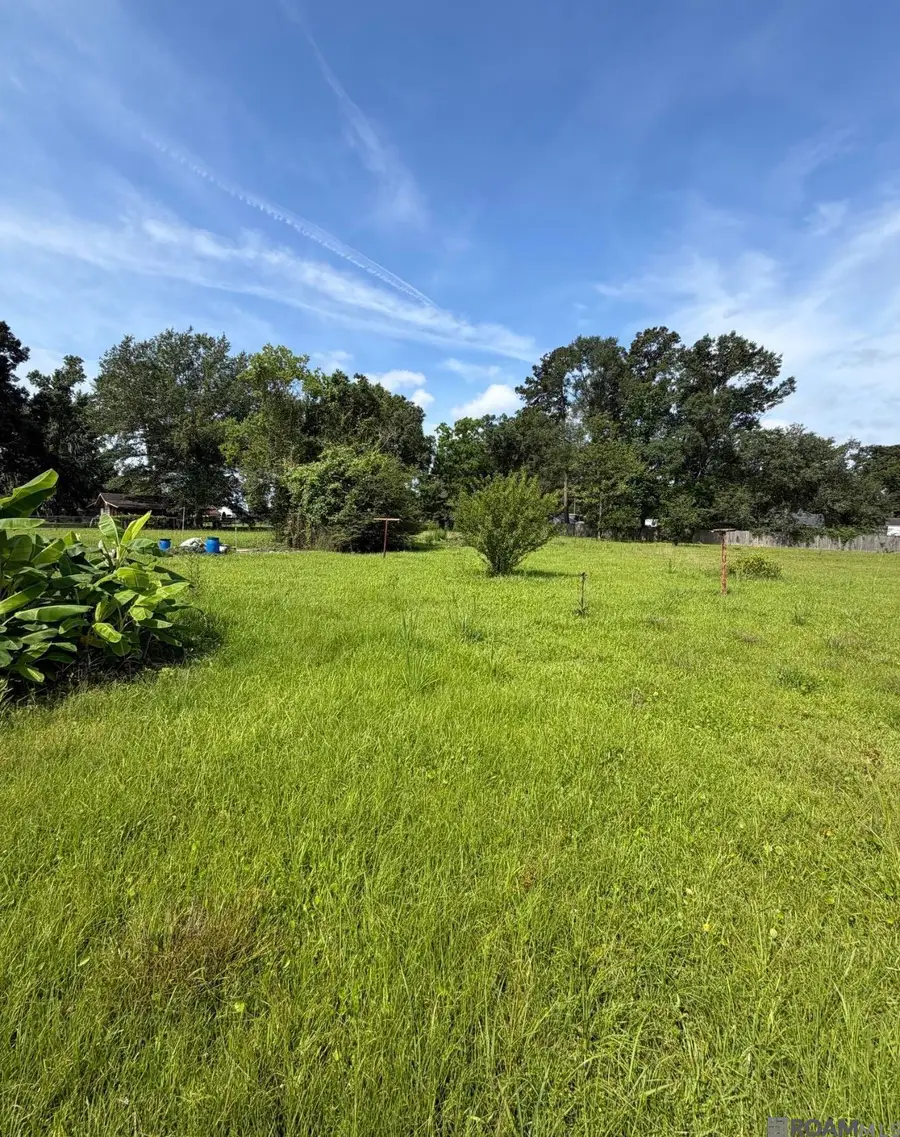 15357 Henderson Bayou Rd, Prairieville, LA 70769 - #2