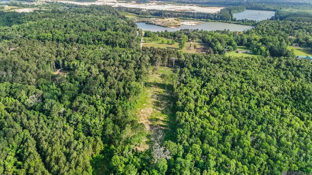 47405 La Hwy 16, Denham Springs, LA 70706 - #1