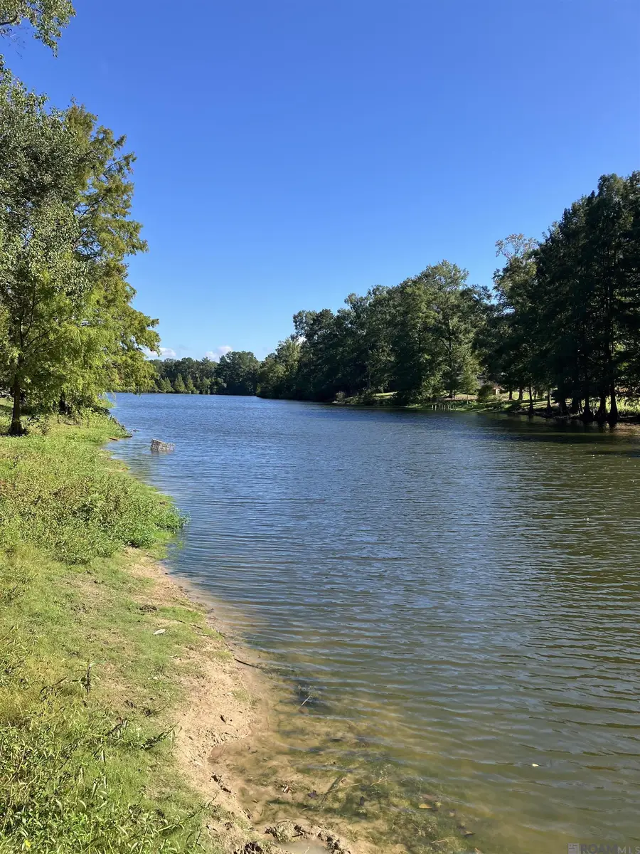 LOT 38 Raleigh Dr, Ethel, LA 70730 - #3