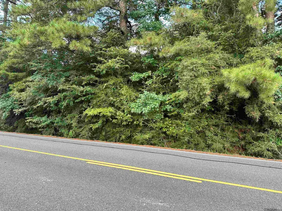 TBD Thibodaux Rd, Greenwell Springs, LA 70739 - #2
