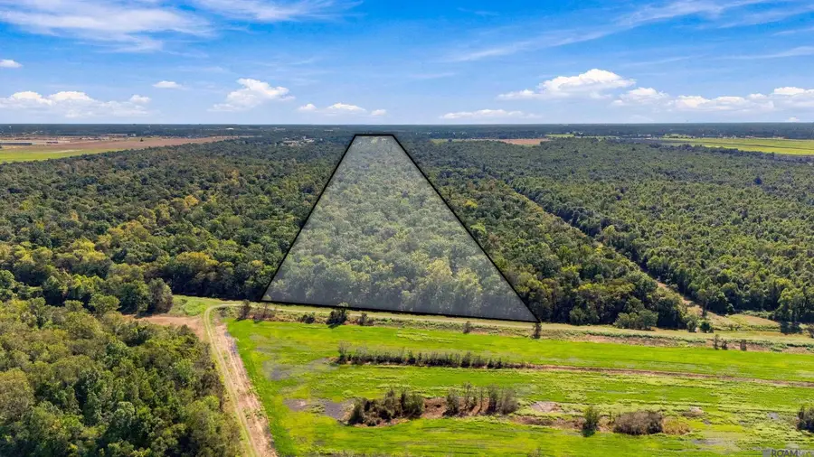 TBD S Hwy 1, Port Allen, LA 70767 - #3