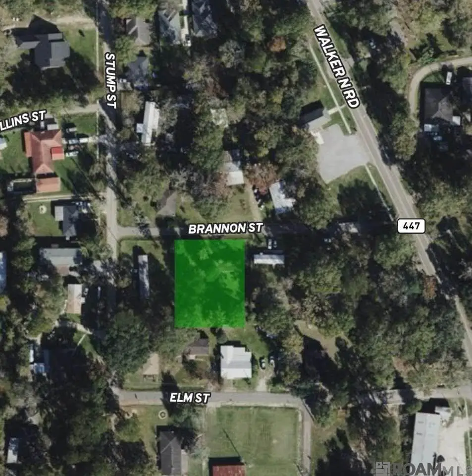 13432 Brannon St, Walker, LA 70785 - #1
