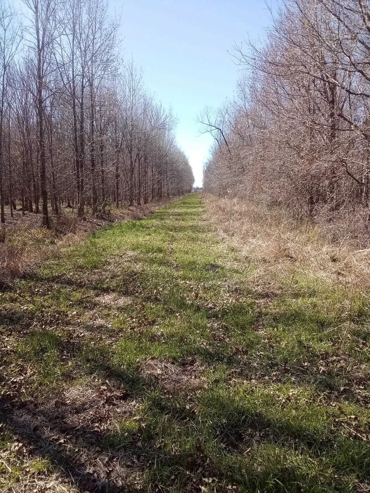 Greenwood Plant NE Greenwood Plantation Rd, Thibodaux, LA 70301 - #1