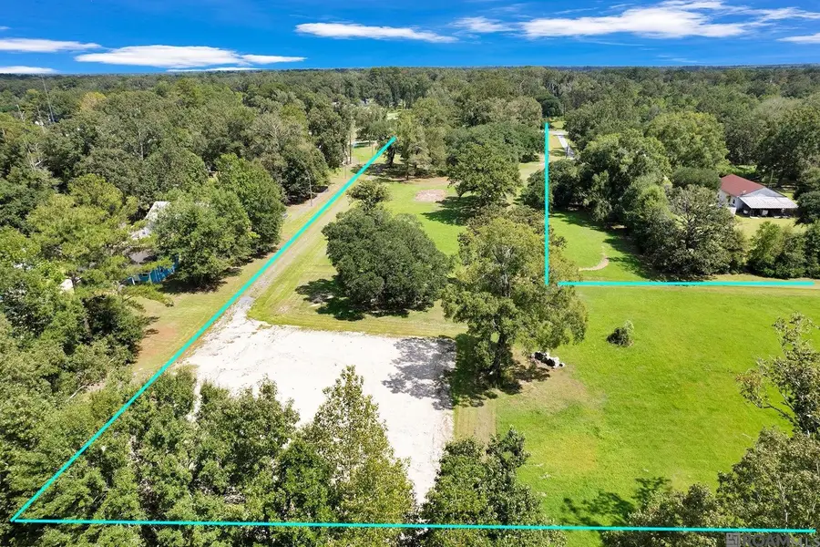 22401 Walker South Rd, Denham Springs, LA 70726 - #3