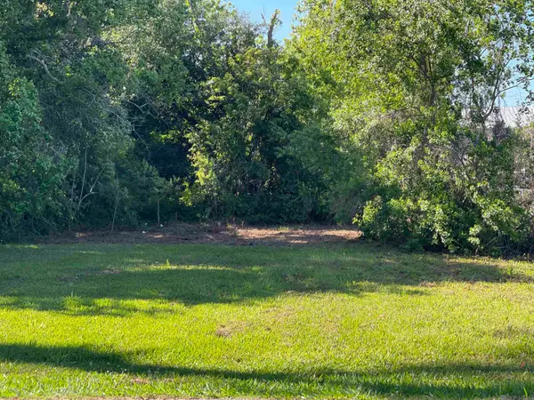 TBD Telegraph, Napoleonville, LA 70390