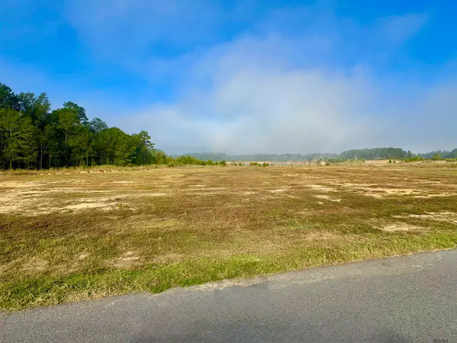Lot 1 Hidden Oaks Ln, Denham Springs, LA 70706 - #2