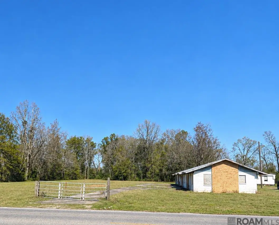 39216 Lot 1 Germany Rd, Prairieville, LA 70769 - #1
