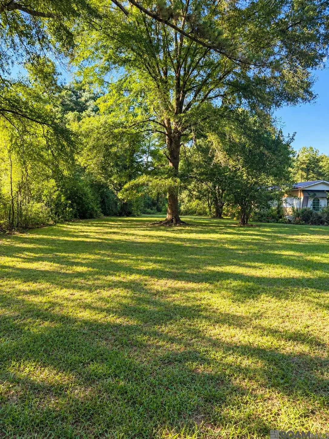 10479 Sligo Rd, Saint Francisville, LA 70775 - #1