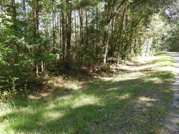 TBD La Hwy 1042, Greensburg, LA 70441