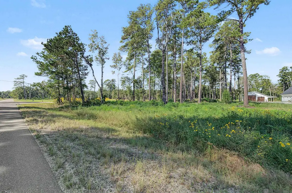 Lot B8 Reinninger Rd, Denham Springs, LA 70706 - #1