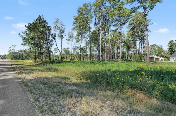 Lot B8 Reinninger Rd, Denham Springs, LA 70706