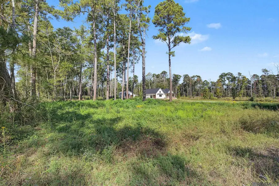 Lot B8 Reinninger Rd, Denham Springs, LA 70706 - #2