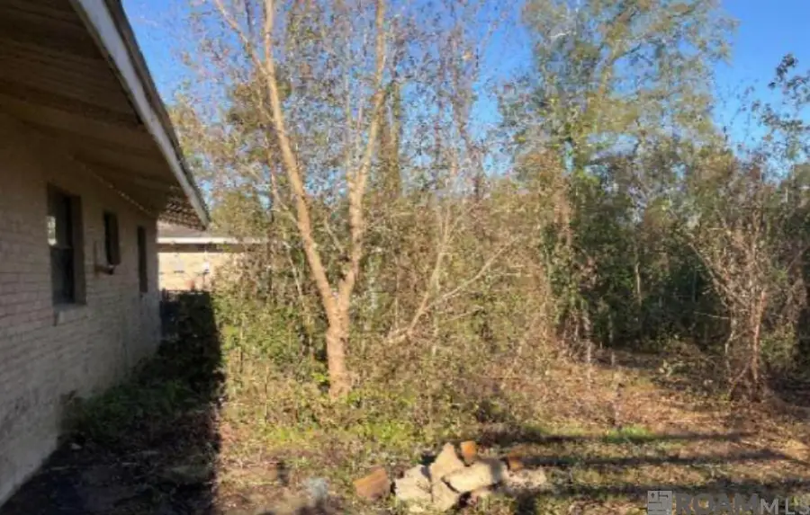 643 Carol Sue St, Denham Springs, LA 70726 - #2