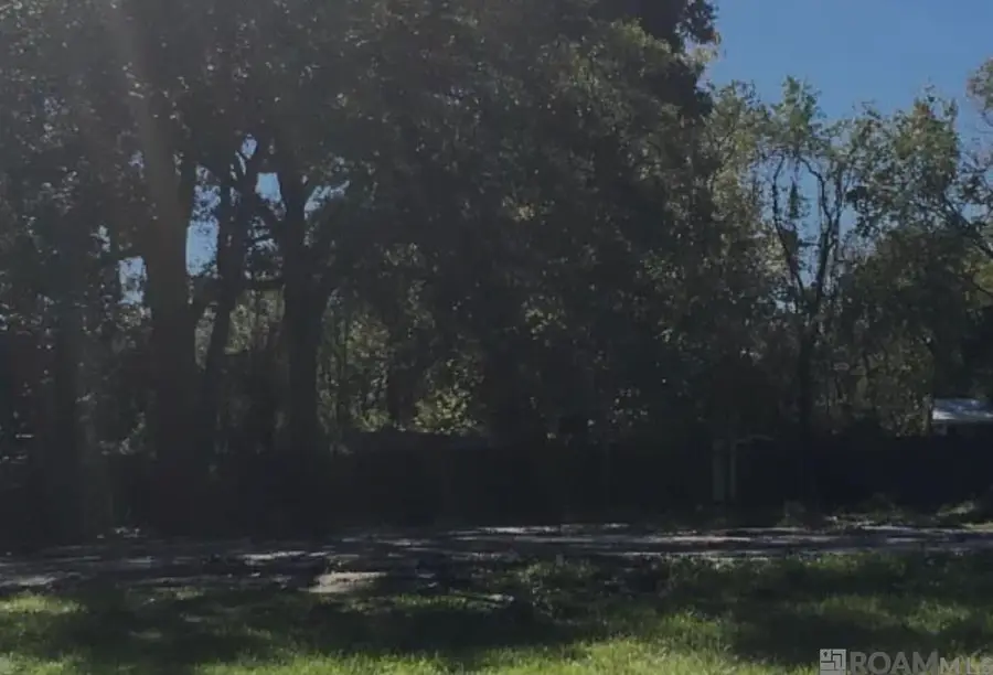 652 Carol Sue St, Denham Springs, LA 70726 - #3