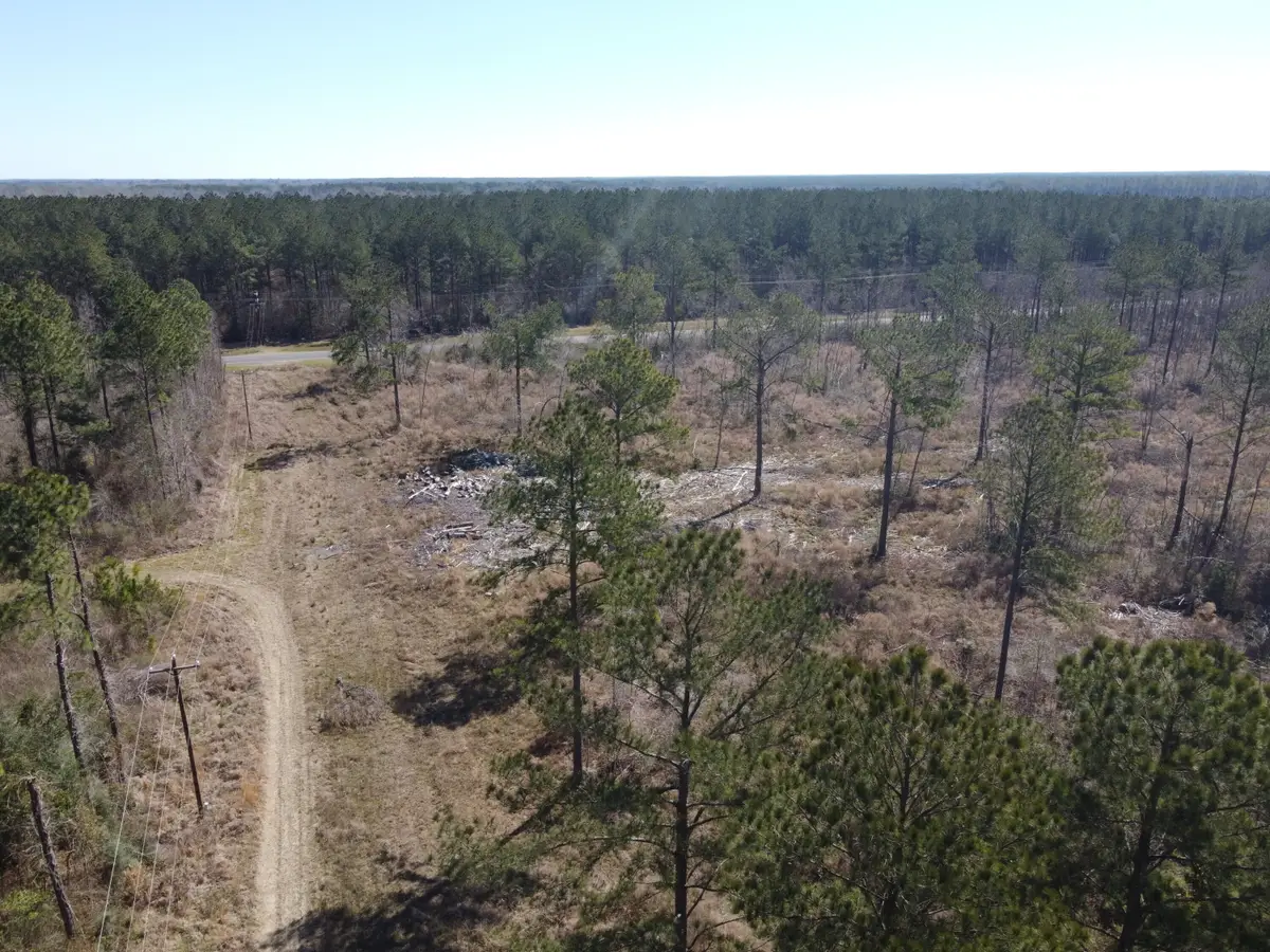 Tbd Hwy 27, Deridder, LA 70634 - Image #1