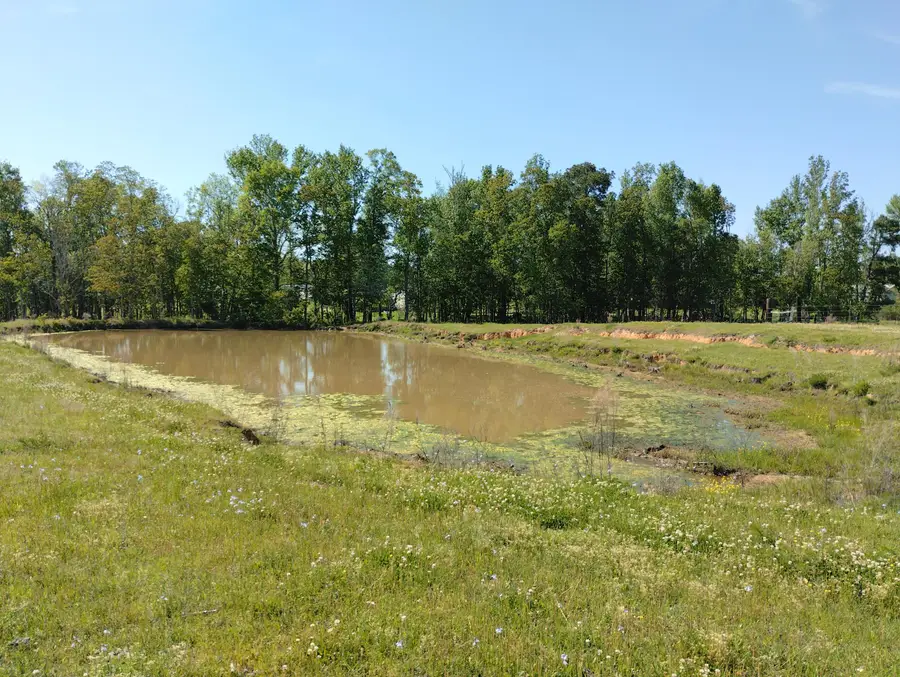 Mitchell Harper Rd, Deridder, LA 70634 - Image #3