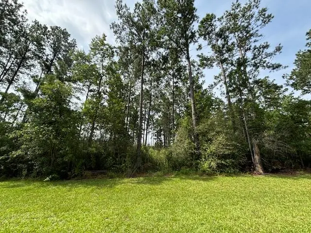 Jack Nelson Rd, Deridder, LA 70634 - Image #2